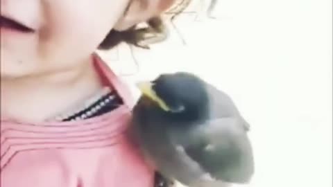 baby girl show her love to bird