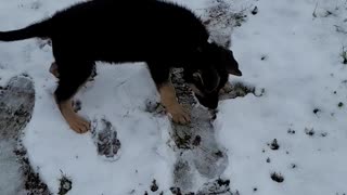 Kai's first snow