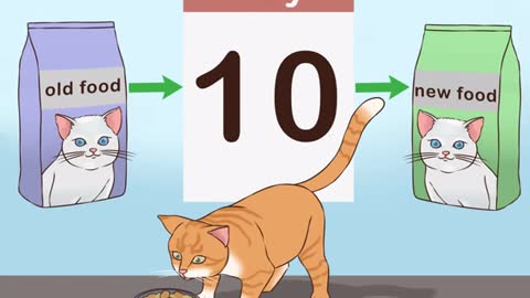 Cat food tips