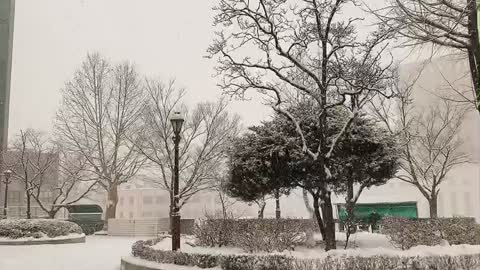 Snow accumulates - Korea, Kyung Hee University(Seoul)