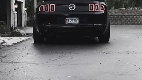 The ford mustang