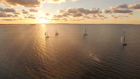 On the lake in the morning, our sailing team, sailing freely