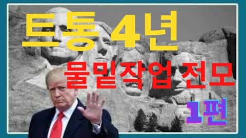 [라나회장] 2021년 5월 10일 트통 지난 4년 물밑작업 1편