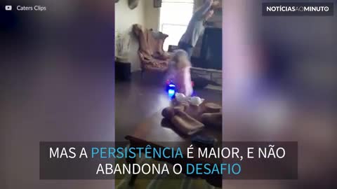 Vovó anda de hoverboard pela primeira vez e causa cena hilária