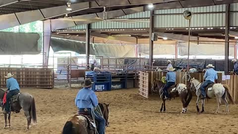 Regional ApHC show in Ardmore, Oklahoma