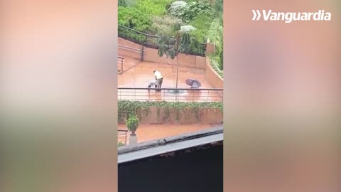 Un acto de amor: vigilante protege a un perro de la lluvia