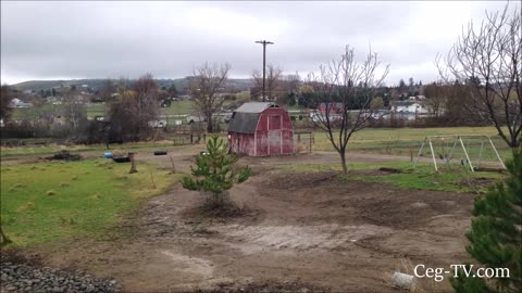 Graham Family Farm: A Wet Day