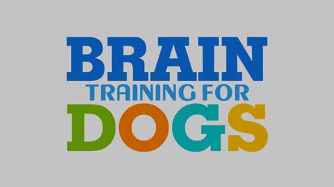 brain training for dogs 1