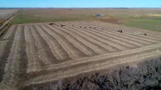 South Dakota Governor Kristi Noem Interview About Protect The Harvest