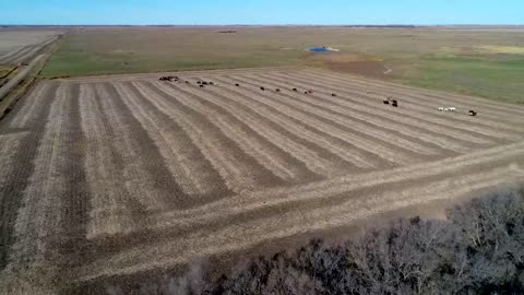 South Dakota Governor Kristi Noem Interview About Protect The Harvest