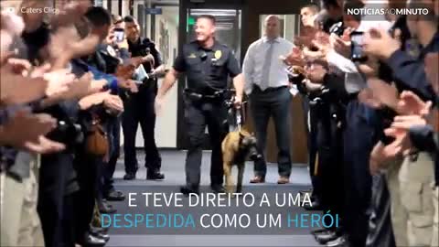 Cão-policial se aposenta e é homenageado no último dia de trabalho