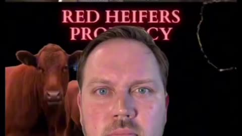 Red Cow Prophecy End Times!