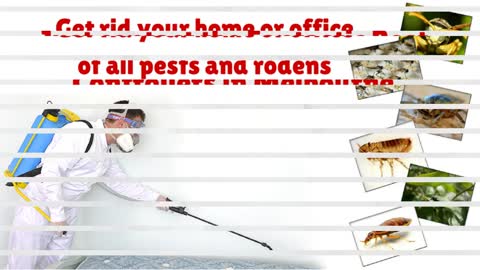 Fantastic Pest Control Melbourne