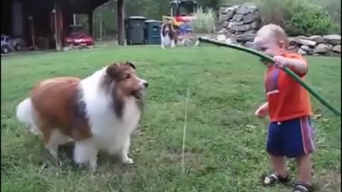 Baby and dog are playing in the field.