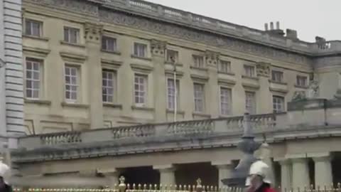 Naked man appears to climb out of Buckingham Palace window