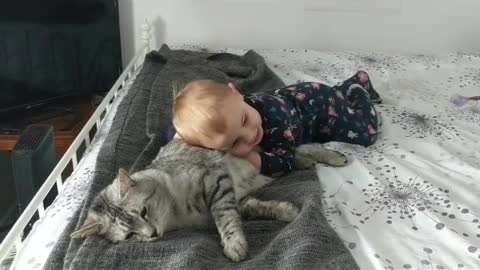 Cute pets & baby