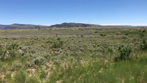 Oregon Trail near Casper