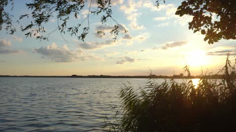 Chillin at a lake - Dogwalk with Ari in August 2018