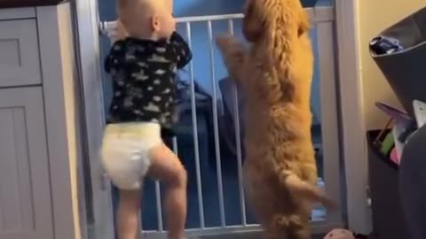 Cutest Video Ever #shorts #shortsvideo #video #viral