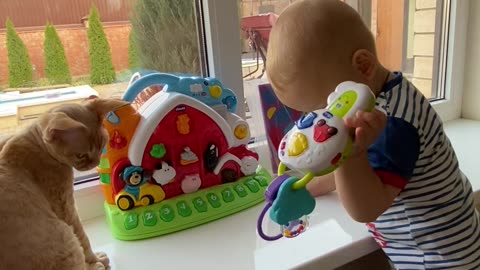 A cute baby playing with his toy and cat