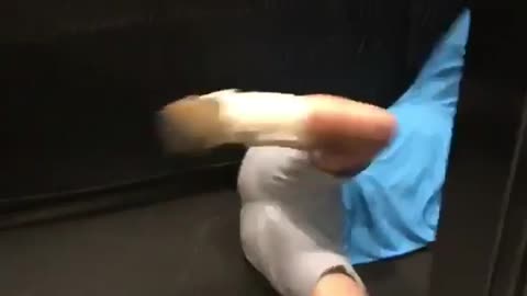 Blue shirt guy falls into open elevator door