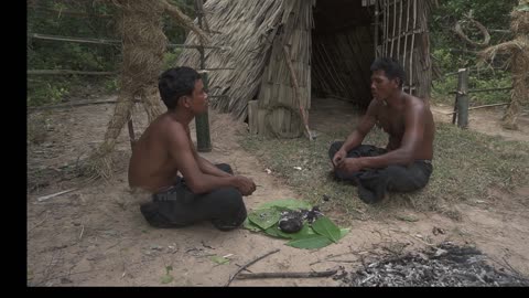 Cooking wild yam (purple potato) and drinking bamboo water | Jungle Survival Instinct #02