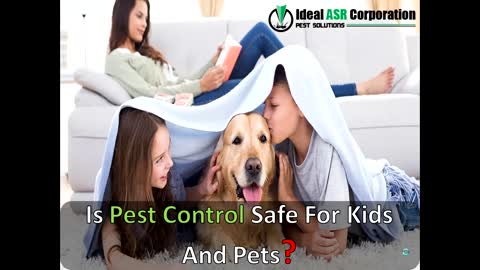 Best Pest Control Service in Indore - IdealASR Corporation