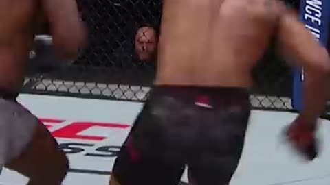 POSSIBLY the Greatest KO of All-Time_ 🤔🤔