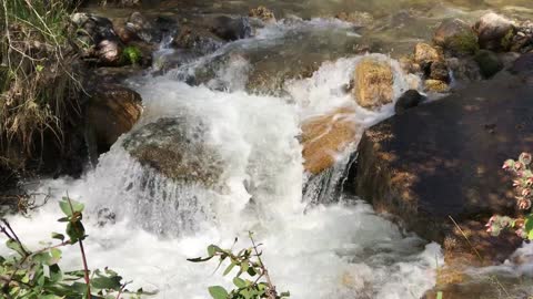 mountain river among the stones