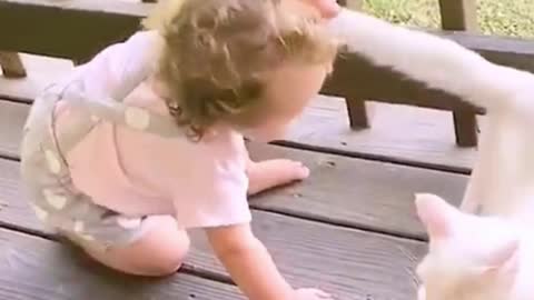 Cute Baby Catch The Cat Tail, Feel Happy When Cat Cry