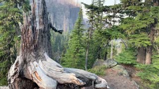 Central Oregon - Three Sisters Wilderness - Outskirts of Obsidian Area