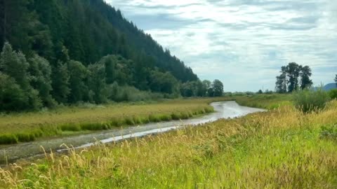 Pitt Meadows, Pitt Lake Marshland, BC