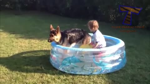 Funny babies and animals bathing together