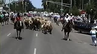 Downtown Colorado Springs Texas Longhorn Trail Drive - 1992