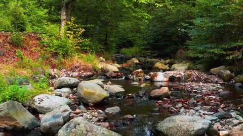 Incredible Voice Of Nature