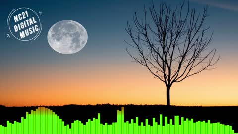 Best Electronic Songs, Best Electronic Dance Songs - Audioscribe - Free Fall 12