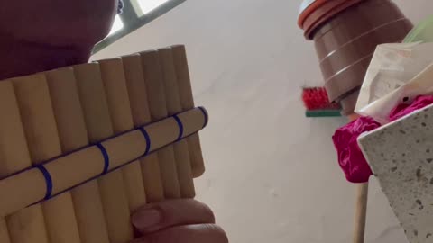 Pan Flute Duet With Washing Machine