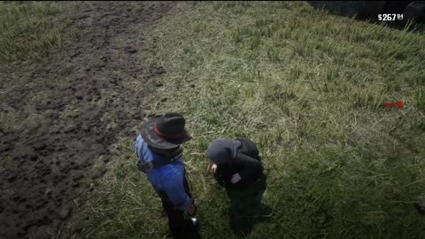 The Widow Will Reject The Money If Arthur Or John Has Low Honor - RDR2