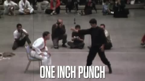 Bruce Lee 1 inch Punch - Project Iron Fist