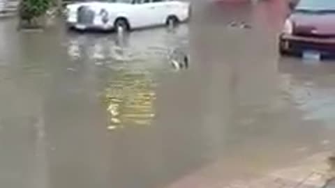 Comedy action in the flood