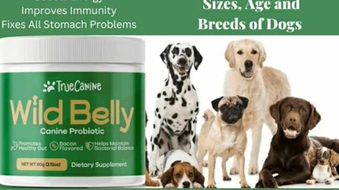 Wild Belly Dog Probiotic