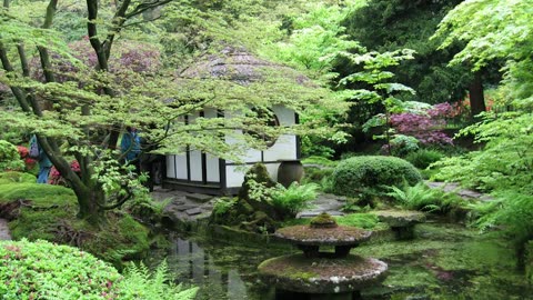 Japanese garden