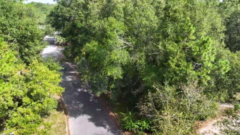 0 Natures Way Lake Alapaha