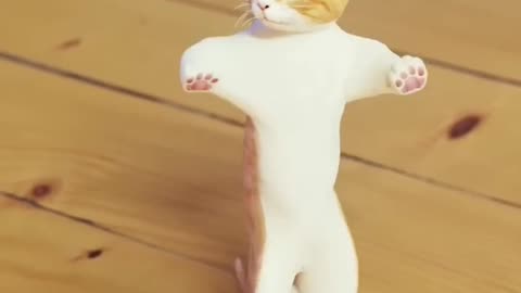 Funny Cat Dance