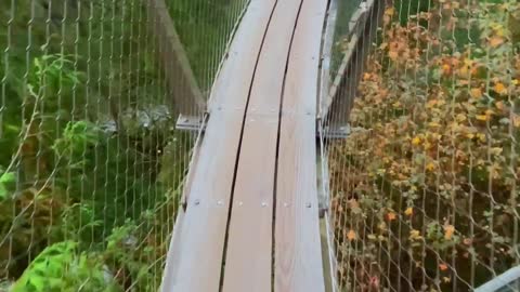 suspension bridge , Vancouver