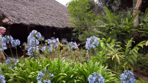 Moivaro Lodge - Arusha