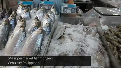 Buying Fish in Philippines SM MAll Cebu Supermarket market