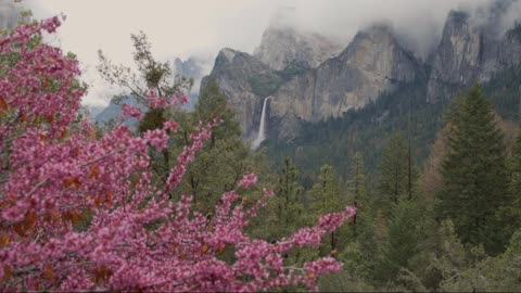 Red leaves and green mountains