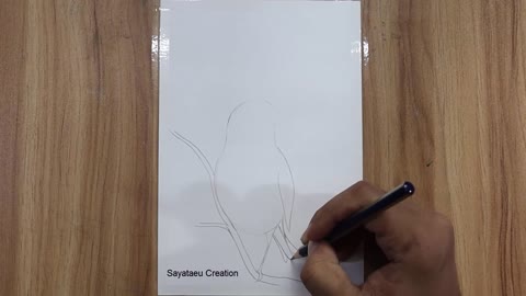 How to draw a Bird Scenery with pencil step by step, Pencil Drawing for beginners