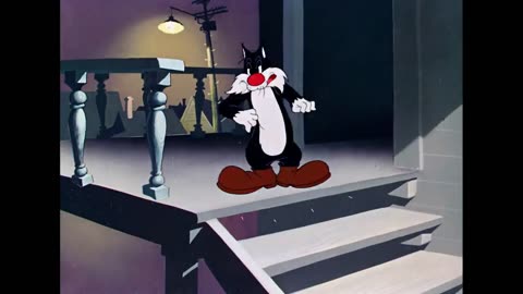 Looney Tunes | Back Alley Oproar | Classic Cartoon